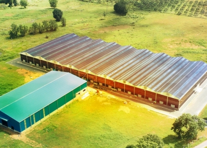 LĨNH VỰC SOLAR 